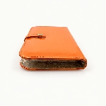 Bright Orange Color Pen Case