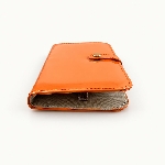 Bright Orange Color Pen Case