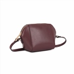Small Fashion Crossbody Bag