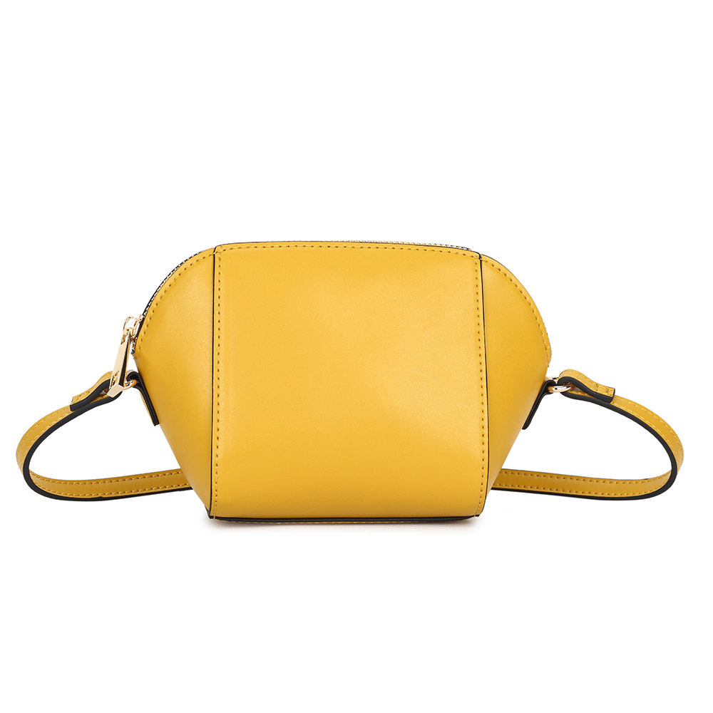 Small Fashion Crossbody Bag