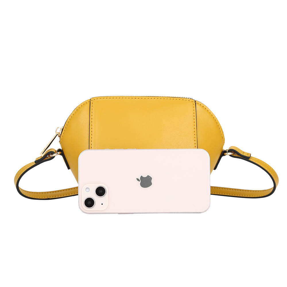 Small Fashion Crossbody Bag