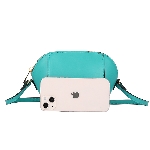 Small Fashion Crossbody Bag
